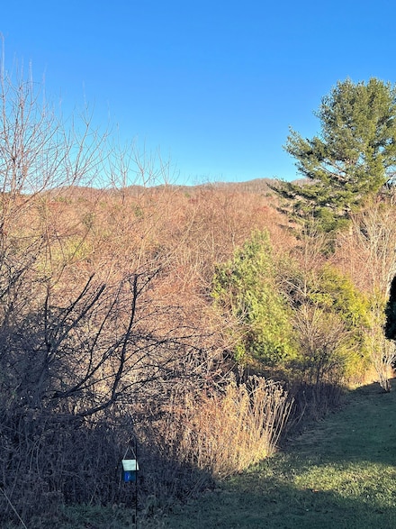 0 River View Ln, Allisonia, VA 24347