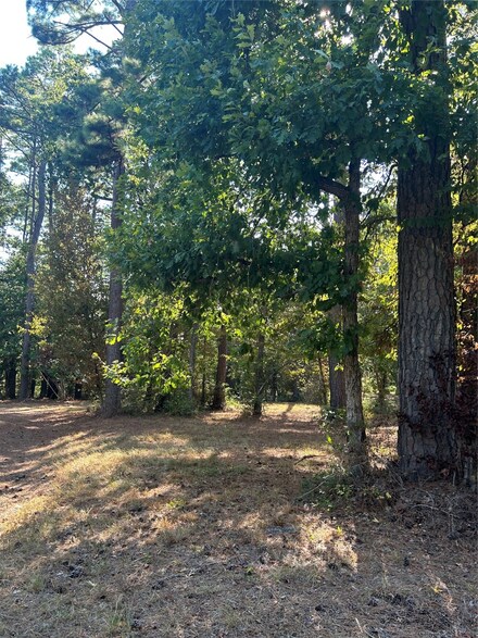 TBD Weepee Dr, Livingston, TX 77351