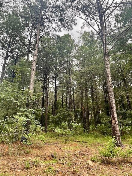 2 Upper Vista Ridge Trail, Broken Bow, OK 74728