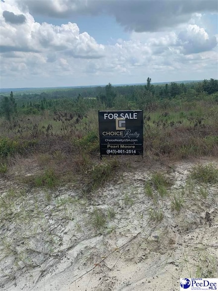 Old Wire Rd 2 01 Ac Tract, Chesterfield, SC 29584