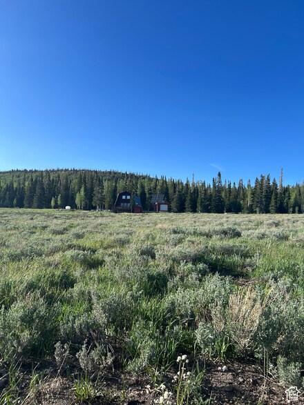 2133 E 2100 S, Brian Head, UT 84719