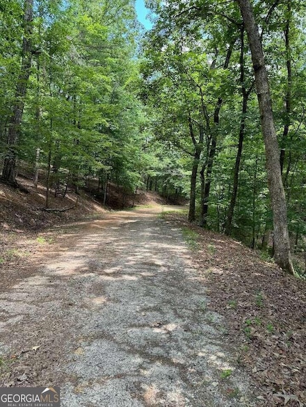 484 Star Lake Ln, Sautee Nacoochee, GA 30571