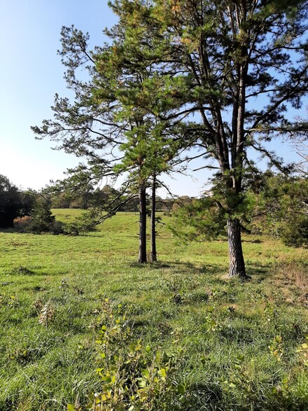 000 County Road 681, Birch Tree, MO 65438