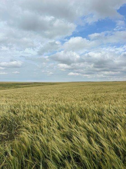 000 232 Rd, Burdett, KS 67523