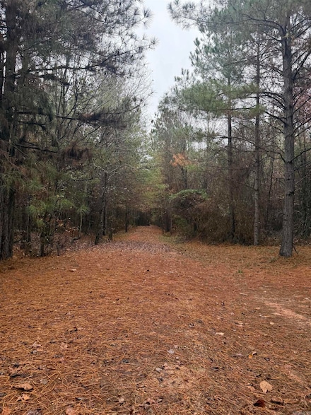 TBD Loan Oak Rd, Lockesburg, AR 71846