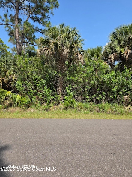 2699 Fitzpatrick Ave SW, Palm Bay, FL 32908