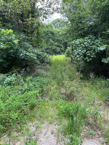 4884 Pyburn Extension, Pocahontas, AR 72455