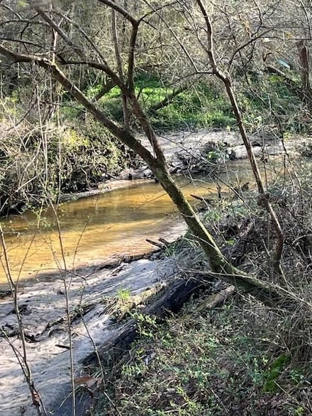0 Middleton Rd, Dothan, AL 36301