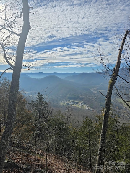 0000 Black Mountain Rd Unit 52, Cullowhee, NC 28723