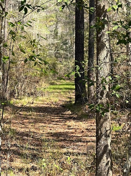 3264 Daley Rd, Garnett, SC 29922