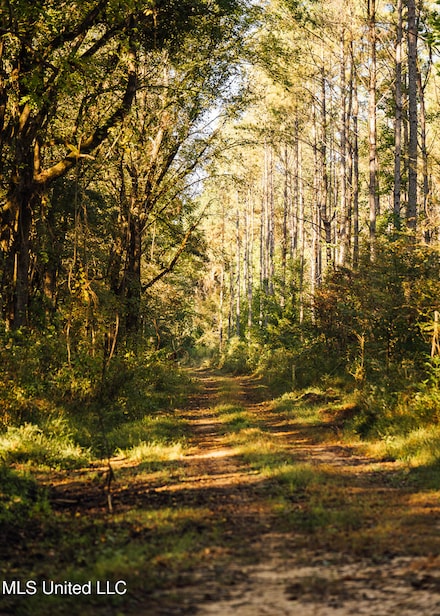 0 Mississippi 4, Holly Springs, MS 38635