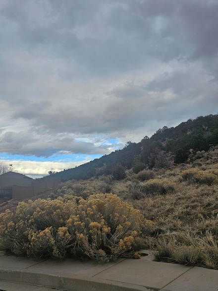 2678 W S Unit III, Cedar City, UT 84720