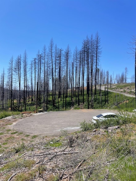 4905 Deerwood Ct, Grizzly Flats, CA 95636
