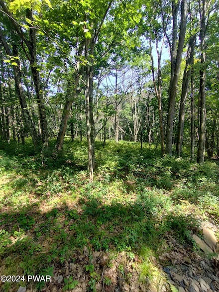 0 W Shore Dr, Mount Cobb, PA 18436