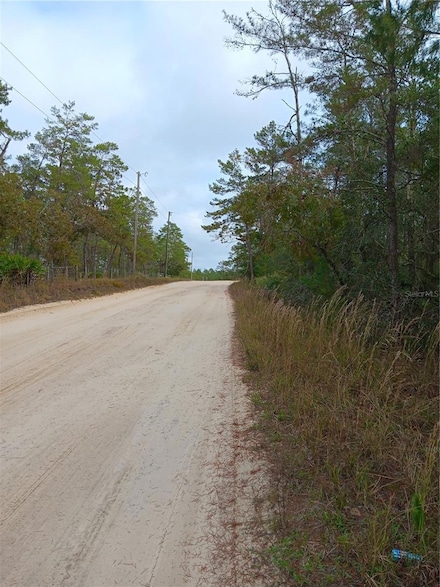 5232 W Osmond Ln, Dunnellon, FL 34433
