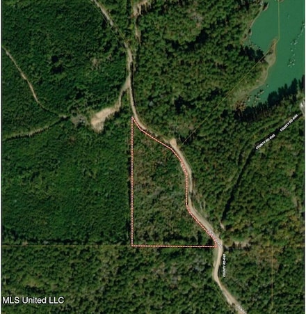 000 Attala County Rd, Sallis, MS 39160