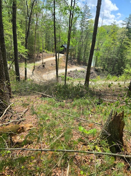 000 Wolfe Lake Rd, Campton, KY 41301