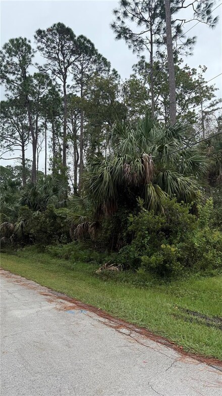 10 Poindexter Ln, Palm Coast, FL 32164