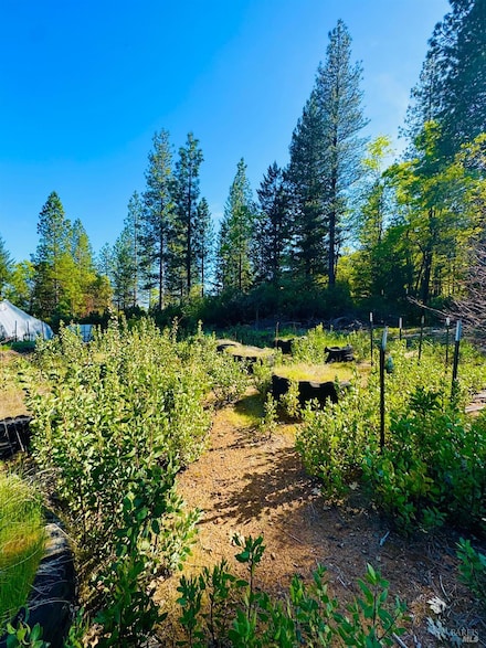 26346 19 N 16 Rd, Lake Pillsbury, CA 95469