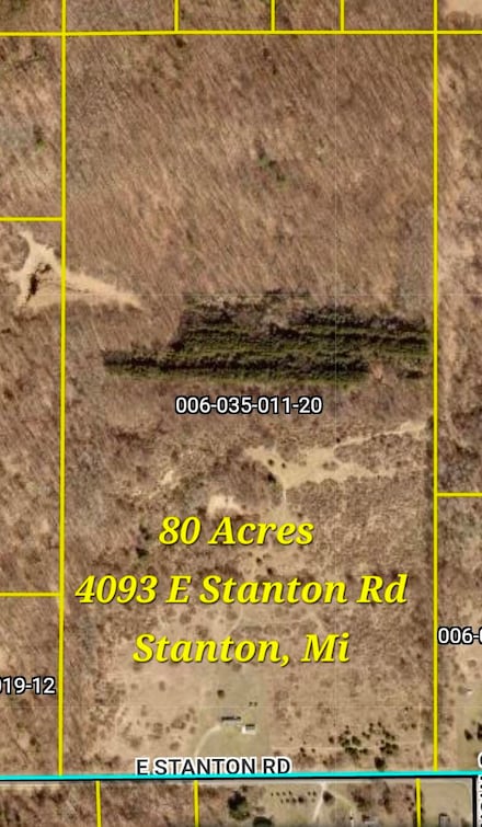 4093 E Stanton Rd, Stanton, MI 48888