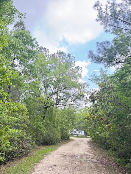 470 Weans Rd, Walterboro, SC 29488
