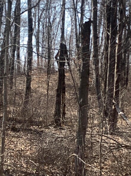 xxx Flower Trail, Breezy Point, MN 56472