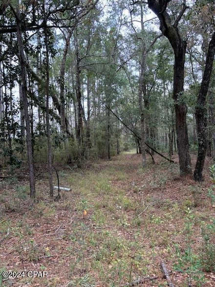 0000 Everest Dr, Chipley, FL 32428
