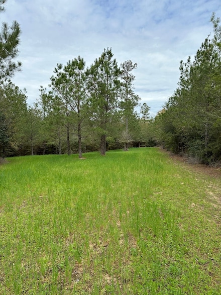 0 Old Foshee Rd, Flomaton, AL 36441