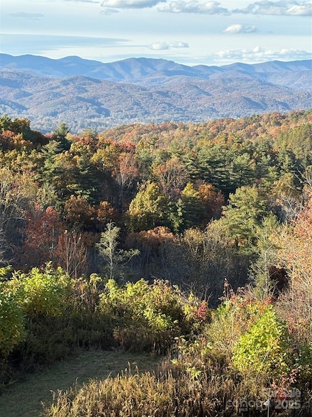 999 Old Spring Rd, Brevard, NC 28712