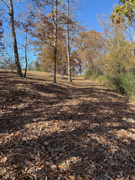 00 Scratch Ankle Rd, Trenton, GA 30752