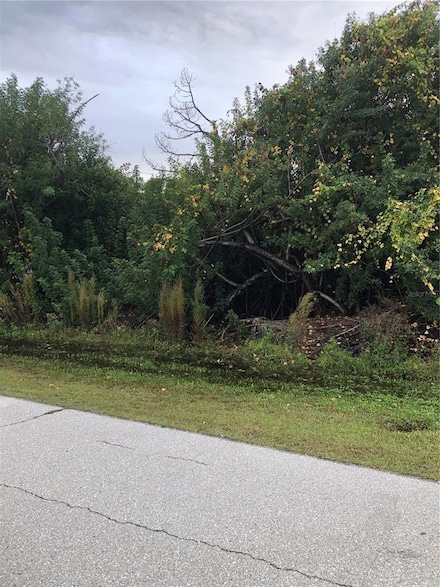 14319 Allensworth Ave, Port Charlotte, FL 33981