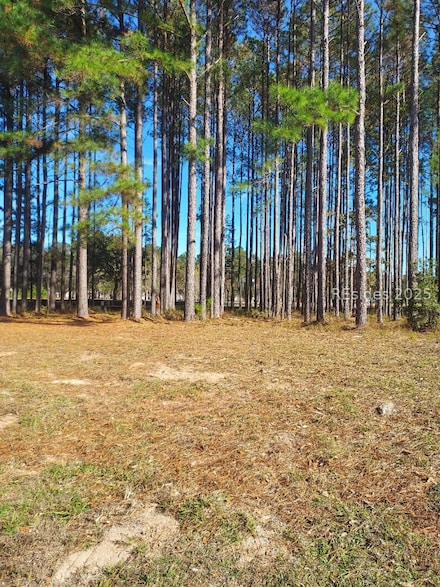 379 Azalea Dr, Hardeeville, SC 29927