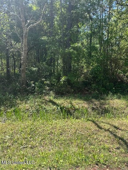 0 E Lamar St, Bay Saint Louis, MS 39520