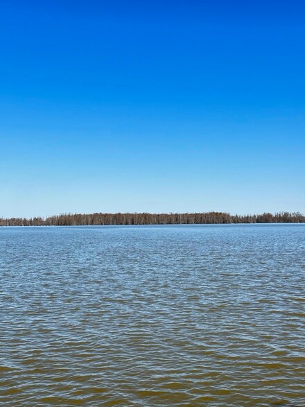 1 Pintail Ln, Elloree, SC 29047