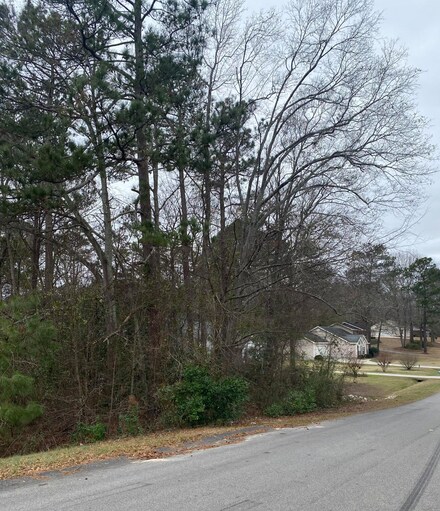 Tbd Coronet Dr, Murphy Village, SC 29860