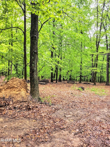0 Mosquito Hollow Rd, Six Mile Run, PA 16679
