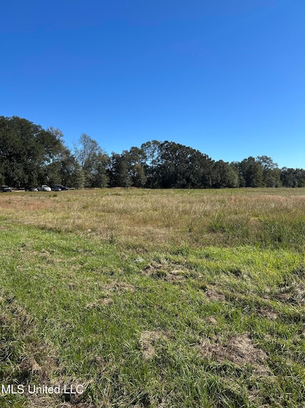 0 2 Acres Hwy 613, Lucedale, MS 39452
