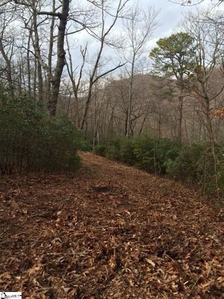 0 Panther Mountain Rd Unit 1290630, Travelers Rest, SC 29690