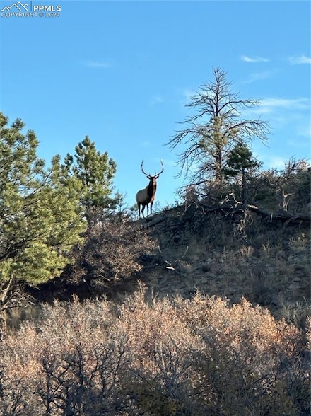 4040 Bell Mountain Dr, Castle Rock, CO 80104