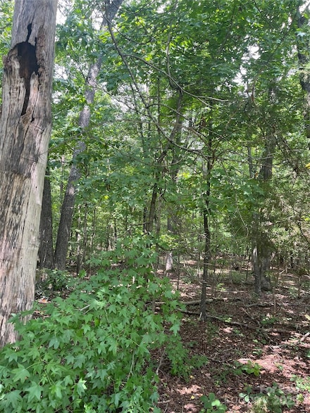 0 Monticello Dr, Albemarle, NC 28001