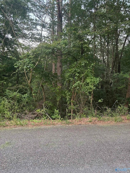 1 Berkley Hills Dr W, Southside, AL 35907