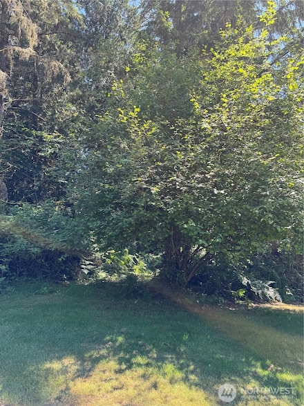 12408 93rd St, Anderson Island, WA 98303