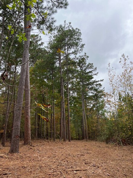 4310 Cr 1090, Center Point, TX 75935
