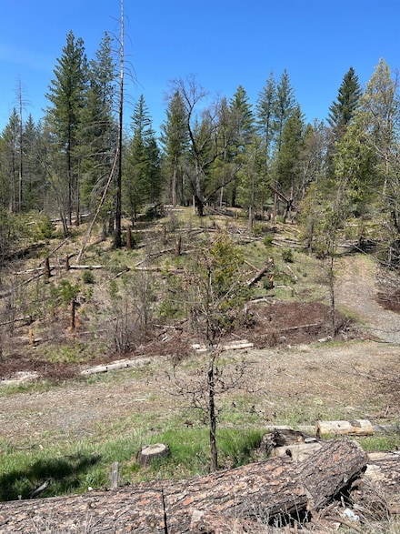 6483 Greeley Hill Rd, Coulterville, CA 95311