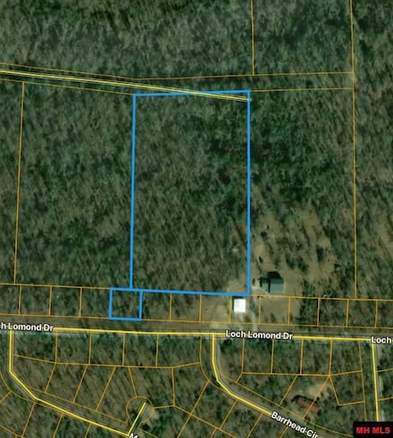 010-00936-000 Loch Lomond Dr, Briarcliff, AR 72653
