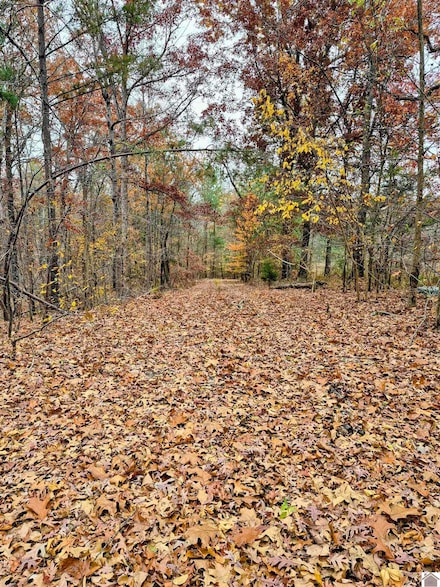 0 Bear Run, Benton, KY 42025