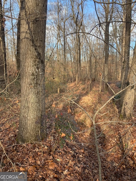 0 S Tanglewood Dr Unit 10538269, Royston, GA 30662