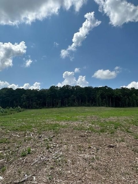 0 Tract 11 Dykes Hollow Rd, Tracy City, TN 37387