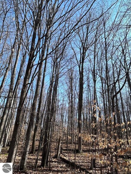 Lot 14 Klein Strasse, Custer Township, MI 49615