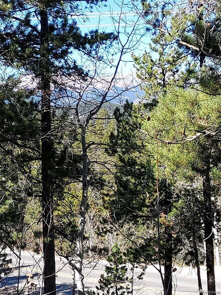 52 Black Bear Trail, Golden, CO 80403
